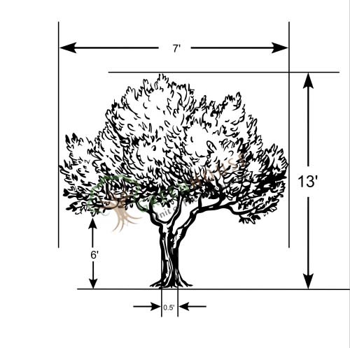 Artificial-Handmade-Ficus-Tree-4