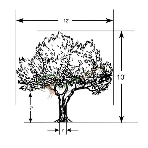 Artificial-Maple-Tree