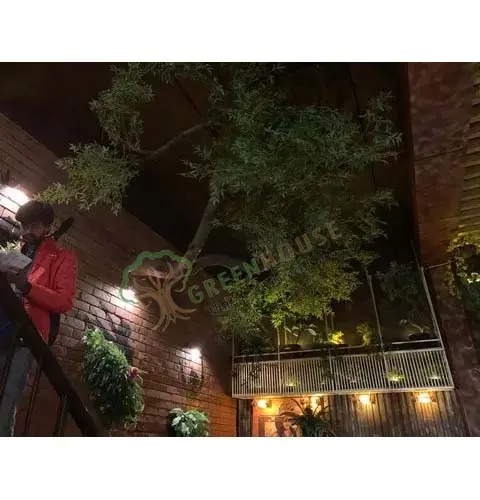 Tree-Wall-Mounted
