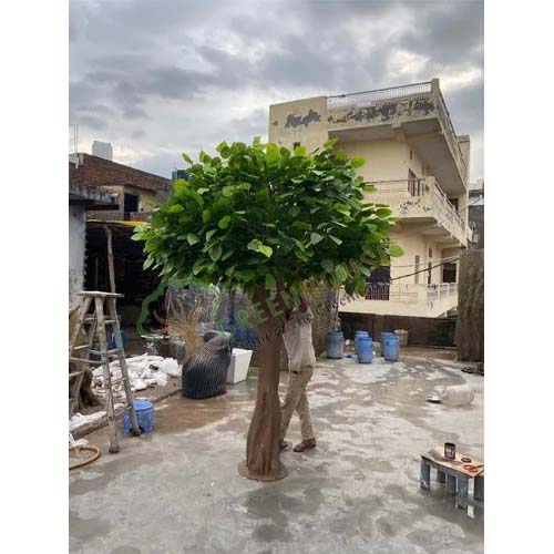 Banyan-Tree-10-Feet