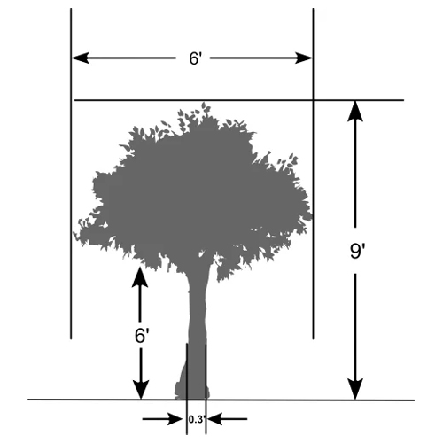 Artificial Coccoloba Tree
