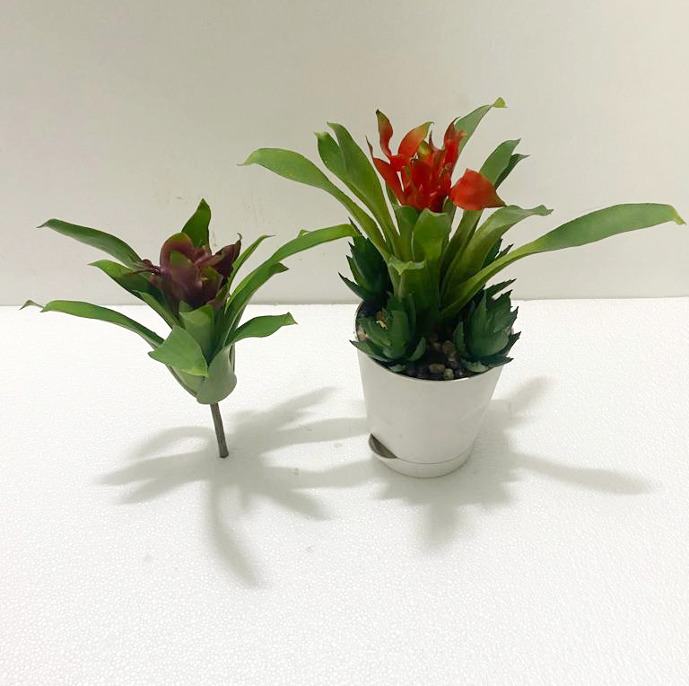 Artificial Succulent Plant